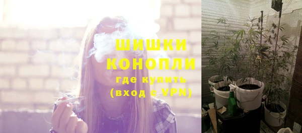крисы Кукмор