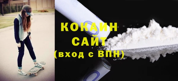 ГАЛЛЮЦИНОГЕННЫЕ ГРИБЫ Лагань