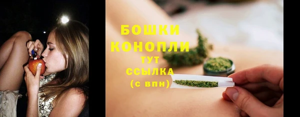 крисы Кукмор